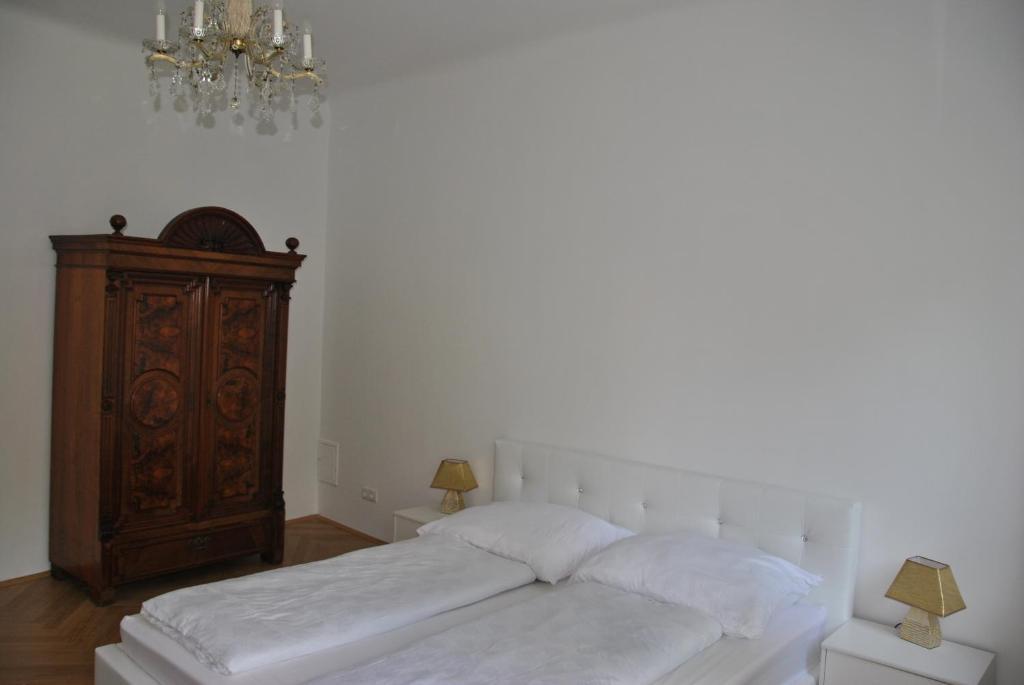Schoenbrunn Park Apartement ウィーン 部屋 写真