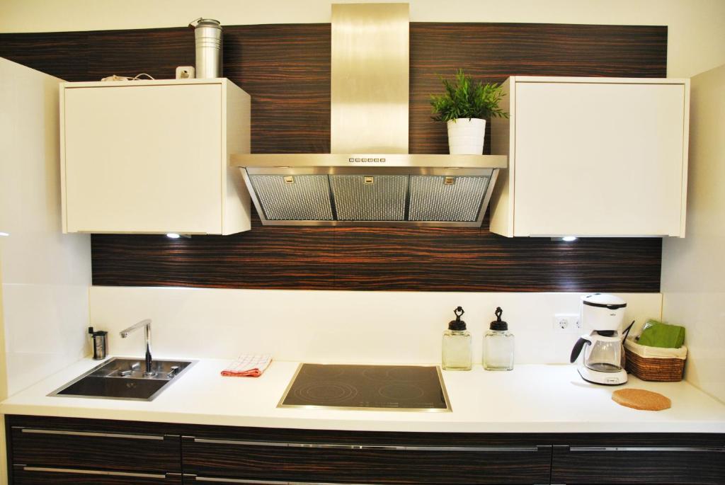 Schoenbrunn Park Apartement ウィーン 部屋 写真